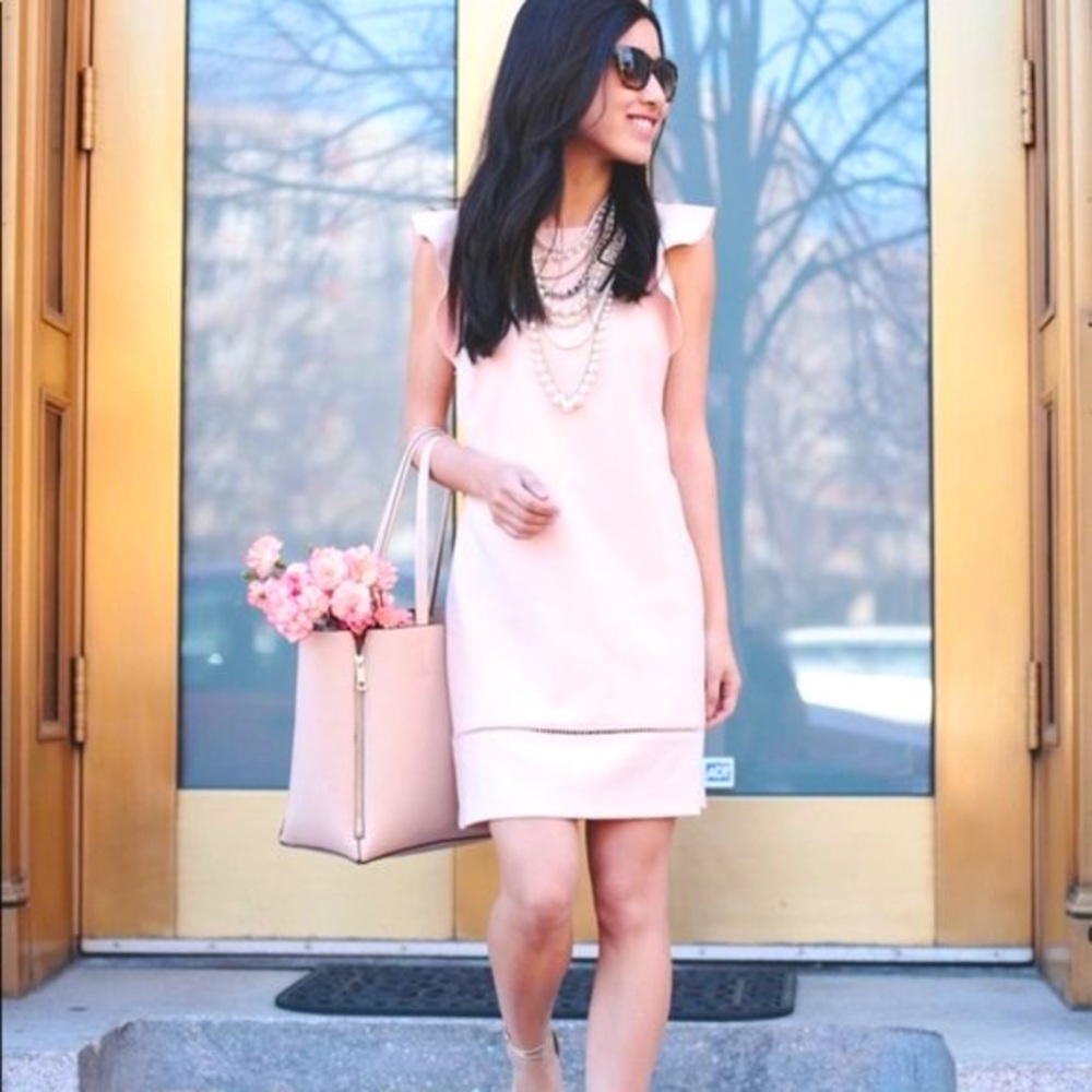 Loft Flutter Sleeve Mini Dress Light Pink Size 2P